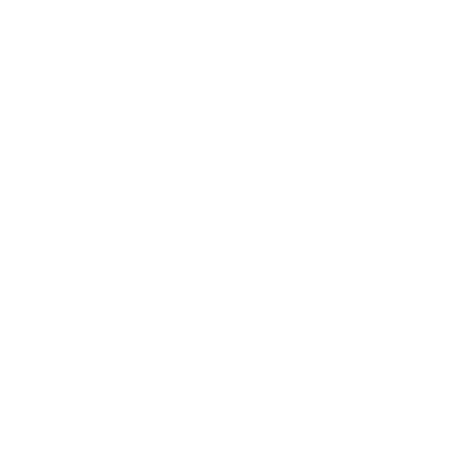Salt Capital Management